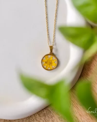 Collier FICAIRE
